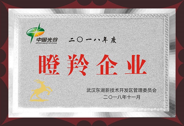 鴻鐳激光獲評2018年度瞪羚企業